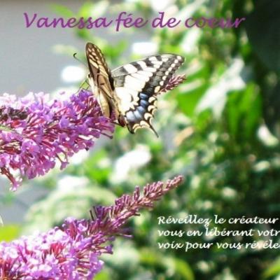 Vanessa fée de cœur Papillon